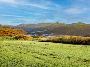 3 Bed in Duddon Valley 89417