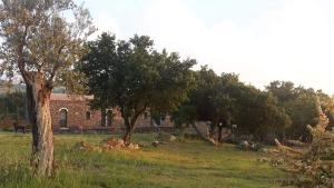 Tenuta Soria Location immersa nel verde con piscina privata