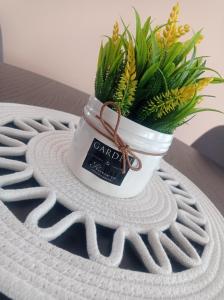 Апартамент РАЯ