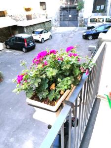 La casa di orlando 2