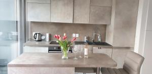 Modern Top-Floor Apartment with Terrace, AC & Free Private Secured Parking