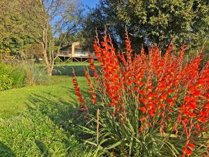 Hills and Dales Accommodation