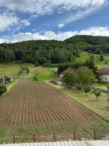 Rooms & Spa BJELASICA