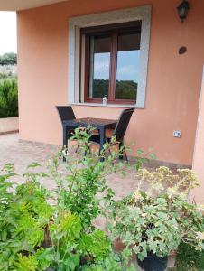agriturismo gli olivastri -appartamento bel vedere con piscina ,solarium e vista mare,climatizzatore ,wifi