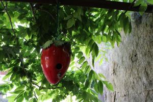 L antico lavatoio