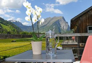 Ferienwohnungen Schantl