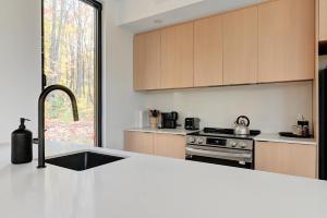 Chalet Black Box