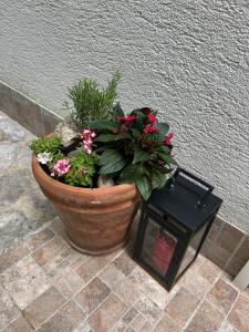 Apartment Bozena Krk