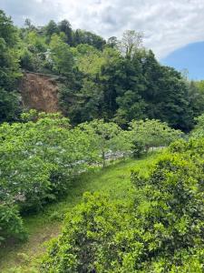 sleep to the river sound