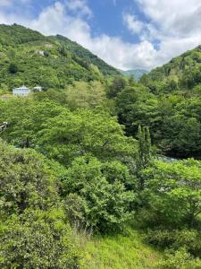 sleep to the river sound