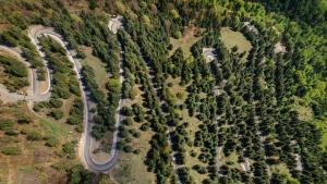 Complex Turistic Alpina Blazna Sant