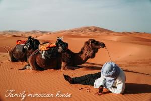 Sahara Desert Experience camp