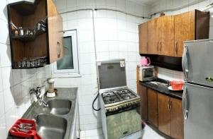 سبأ باشا فيو