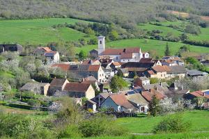 B&B / Chambres d'hotes La Follye Mancey : Chambre Familiale - Vue sur Jardin