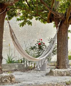 Villas Villa Monze : photos des chambres