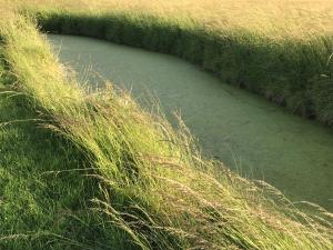 Appartements Beach & Golf Cabourg - 50m2 avec jardin clos a 100m golf Cabourg et 200m plage de Cabourg le Home : Appartement 1 Chambre