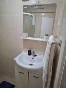 Happy Basset Terrace