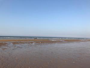 Appartements Beach & Golf Cabourg - 50m2 avec jardin clos a 100m golf Cabourg et 200m plage de Cabourg le Home : photos des chambres