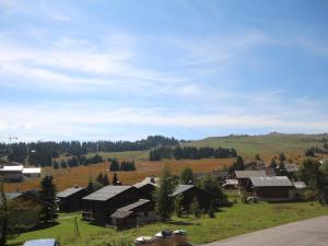 Appartements Appartement aux Saisies, 5 pers, 2 ch, balcon, TV, cuisine equipee - FR-1-293-205 : photos des chambres