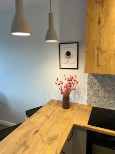 Sosnowe Apartamenty - Eco