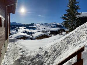 Appartements Appartement Les Saisies 5 pers, 35m², equipements complets - FR-1-293-329 : photos des chambres