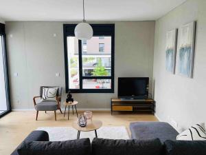 Basel-Tram 8-Tristate-Bridge-Riverview