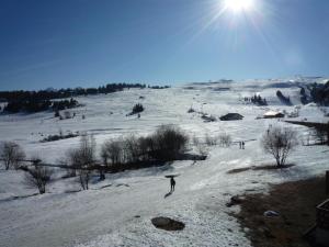 Appartements Appartement 4 pieces, 9 pers, balcon, animaux toleres, Les Saisies - FR-1-293-255 : photos des chambres