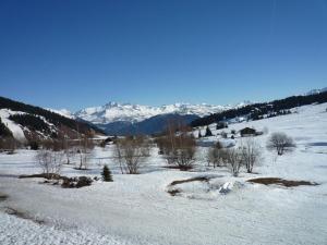 Appartements Appartement 4 pieces, 9 pers, balcon, animaux toleres, Les Saisies - FR-1-293-255 : photos des chambres