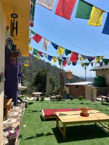 The Backpacker Storey