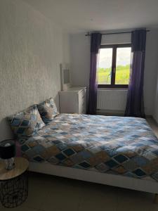 Appartements Logement au coeur de la route des vins et des marches de Noel : photos des chambres