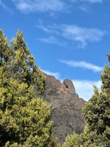 Los amancay del ventana Otto