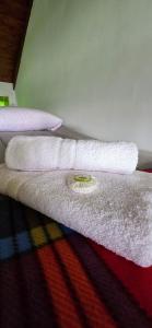 Mi pequeño hogar en El Calafate