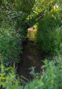 Woods Meadow Glamping luxury self contained lodges