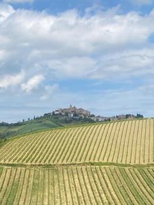 Countryhouse Gli Ulivi