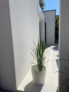 Suite & Vins - Gîte d’exception