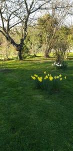 Sejours chez l'habitant chez Patrick : Chambre Double - Vue sur Jardin