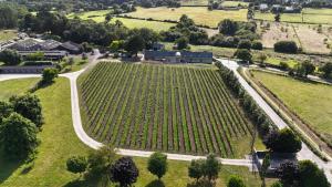 Appartements Gite -l'Appart- au Vignoble Domaine Lamballe, Baden, Golfe du Morbihan : Appartement 1 Chambre