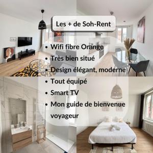 Soh Rent Appartement 2 Pièces - Schiltigheim 2 - TV - wifi