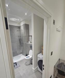 Modern Flat London Sleeps 4!