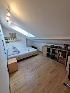 Appartements Spacieux Duplex a Villeurbanne 6 Pers Tout Comfort : Appartement 3 Chambres
