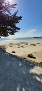 Appartements Appartement 2-3 personnes Saint Cast le Guildo : photos des chambres