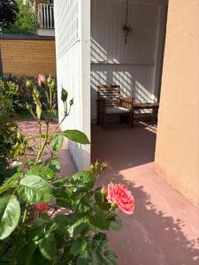 Liberty Deluxe Apartment Cosmopolis