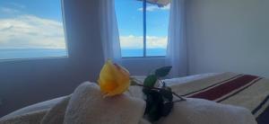 Kalluchi Ecolodge-Sun Island Titicaca Lake BOLIVIA