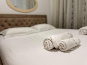 Tirana Centre Lions Gate 8