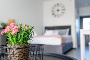 Apartamenty Bellamaya - Kapitanska 8