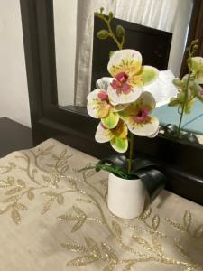 Departamento Arena Monterrey