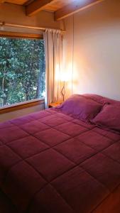 Cabaña en Villa Los Coihues II