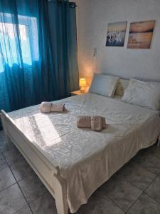 Lilys house near the beach