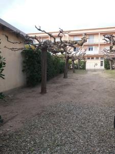 Appartements Appartement confortable en front de mer pour 5 personnes : photos des chambres