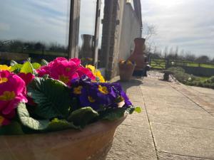 The Hayloft at Stathe Farm